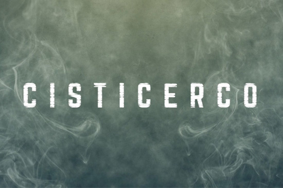 Cisticerco - Cortometraje